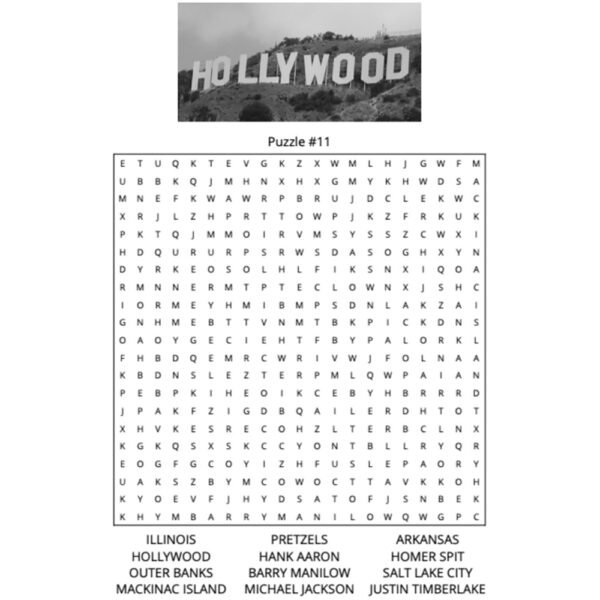 Americana Word Search Puzzle Book - Image 3